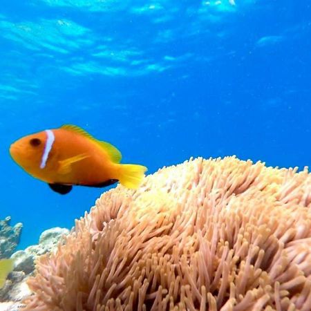 ホテルウィンド ブリーズ サンセット ビュー イン グライドゥ エクステリア 写真
